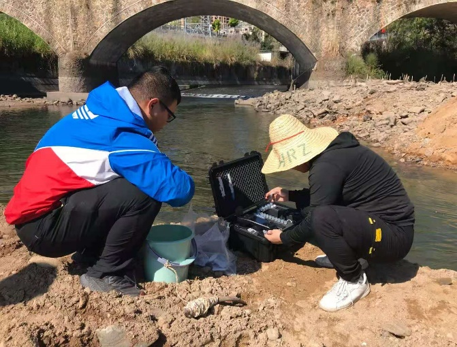 企业核查解决方案